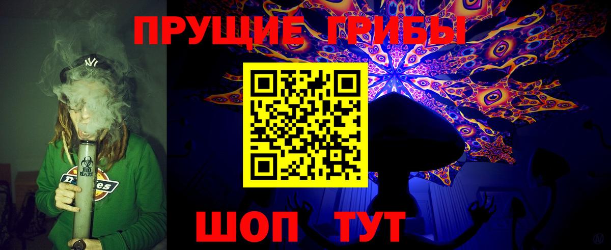 Псилоцибиновые грибы GOLDEN TEACHER  Галлюциногенные грибы прущие грибы  Губкинский  Вход с VPN 
