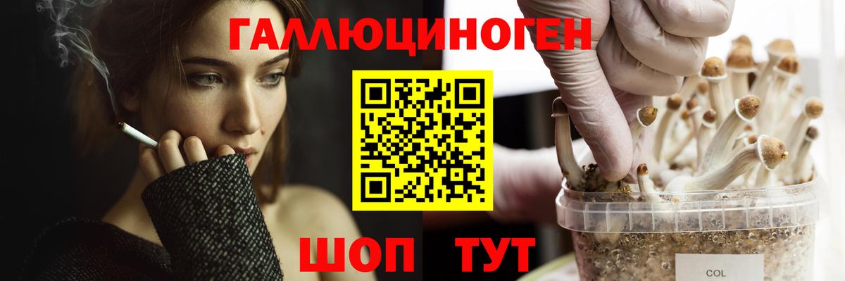 Псилоцибиновые грибы мицелий Губкинский
